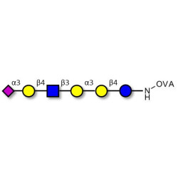 Sialylated isoglobopentaose (Sialylated iGb5) analogue type 2 grafted on OVA