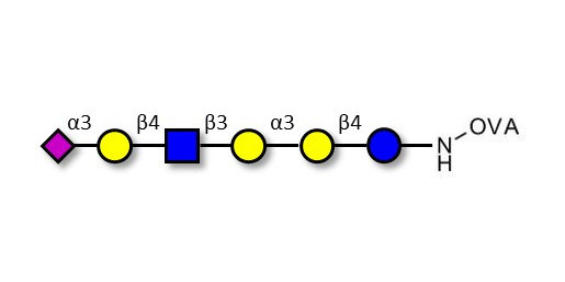 Sialylated isoglobopentaose (Sialylated iGb5) analogue type 2 grafted on OVA - Sialylated iGb5 analogue type 2