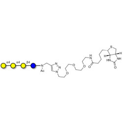 Galactosyl Globotriose (Gal-Gb3) linked to biotin (Linker-BT A)