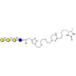 Galactosyl Globotriose (Gal-Gb3) linked to desthiobiotin (Linker-DBT-A)