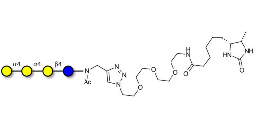Galactosyl Globotriose (Gal-Gb3) linked to desthiobiotin (Linker-DBT-A)