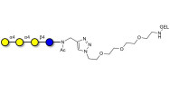 Galactosyl Globotriose...
