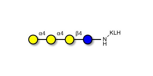 Galactosyl Globotriose (Gal-Gb3) grafted on KLH