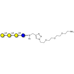 Galactosyl Globotriose (Gal-Gb3) with free terminal amine (Linker-NH2 B)