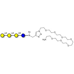 Galactosyl Globotriose (Gal-Gb3) with free terminal amine (Linker-NH2 C)