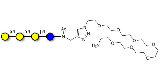 Galactosyl Globotriose (Gal-Gb3) with free terminal amine (Linker-NH2 C)