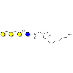 Galactosyl Globotriose (Gal-Gb3) with free terminal amine (Linker-NH2 D)