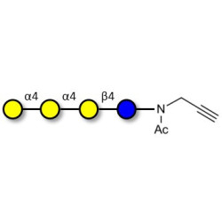 Galactosyl Globotriose (Gal-Gb3) with terminal alkyne (Linker-CΞCH A)