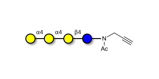 Galactosyl Globotriose (Gal-Gb3) with terminal alkyne (Linker-CΞCH A) - GLY250-NPR