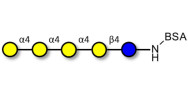 Galα1-4Galα1-4-Globotriose...