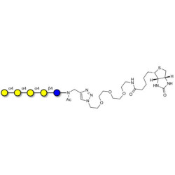 Galα1-4Galα1-4-Globotriose linked to biotin (Linker-BT A)