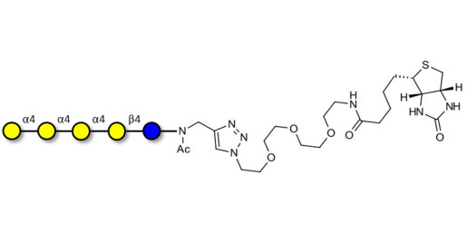 Galα1-4Galα1-4-Globotriose linked to biotin (Linker-BT A) - Galα1-4Galα1-4-Gb3
