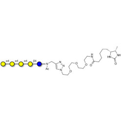 Galα1-4Galα1-4-Globotriose linked to desthiobiotin (Linker-DBT-A)
