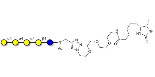Galα1-4Galα1-4-Globotriose linked to desthiobiotin (Linker-DBT-A) - Galα1-4Galα1-4-Gb3