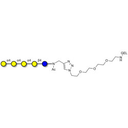 Galα1-4Galα1-4-Globotriose grafted on gel for affinity chromatography (Linker-GEL A)