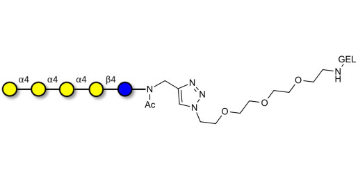 Galα1-4Galα1-4-Globotriose grafted on gel for affinity chromatography (Linker-GEL A) - Galα1-4Galα1-4-Gb3