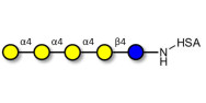 Galα1-4Galα1-4-Globotriose...