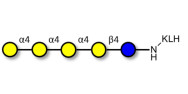 Galα1-4Galα1-4-Globotriose...