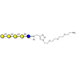 Galα1-4Galα1-4-Globotriose with free terminal amine (Linker-NH2 B)
