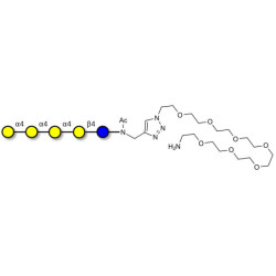 Galα1-4Galα1-4-Globotriose with free terminal amine (Linker-NH2 C)