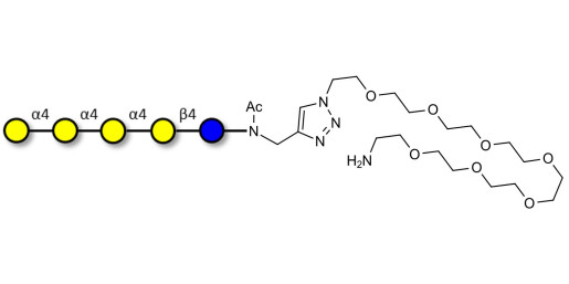 Galα1-4Galα1-4-Globotriose with free terminal amine (Linker-NH2 C) - Galα1-4Galα1-4-Gb3