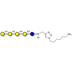 Galα1-4Galα1-4-Globotriose with free terminal amine (Linker-NH2 D)