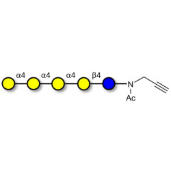 Galα1-4Galα1-4-Globotriose with terminal alkyne (Linker-CΞCH A)
