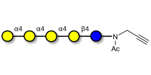 Galα1-4Galα1-4-Globotriose with terminal alkyne (Linker-CΞCH A) - Galα1-4Galα1-4-Gb3