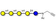Galα1-4Galα1-4-Globotriose...