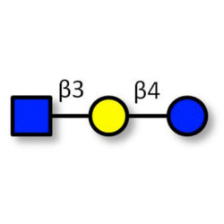 Lacto-N-triose (LNT2) Analytical Reference