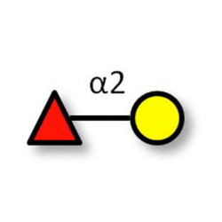 Blood group H antigen disaccharide Analytical Reference