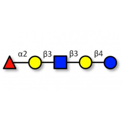 Lacto-N-fucopentaose I (LNFP I) Analytical Reference