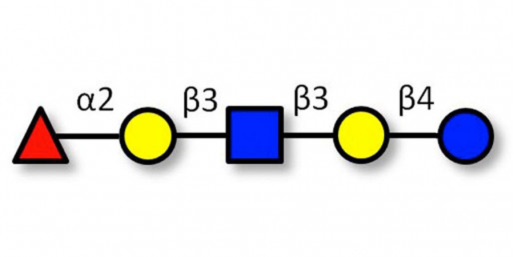 Lacto-N-fucopentaose I (LNFP I) Analytical Reference
