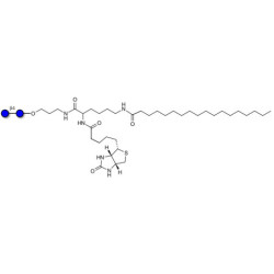 Cellobiose linked to biotin and stearic chain (Linker-BT-STEA A)