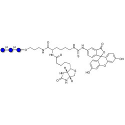 Cellotriose linked to biotin and fluorescein (Linker-BT-FLUO A)