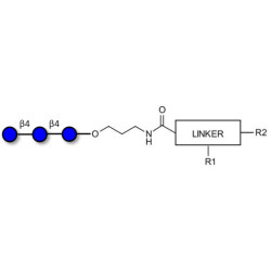 Cellotriose with customizable dual functionalization 
