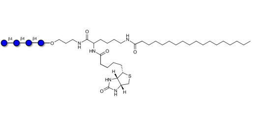 Cellotetraose linked to biotin and stearic chain (Linker-BT-STEA A)
