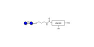 Maltose DP2 with...