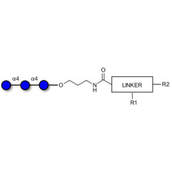 Maltotriose DP3 with customizable dual functionalization 