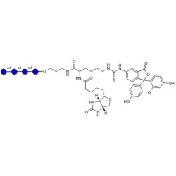 Maltotetraose DP4 linked to biotin and fluorescein (Linker-BT-FLUO A)