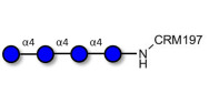 Maltotetraose DP4 grafted...
