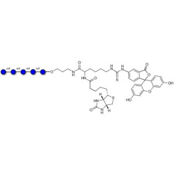 Maltopentaose DP5 linked to biotin and fluorescein (Linker-BT-FLUO A)