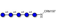 Maltopentaose DP5 grafted...