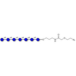 Maltoheptaose DP7 with terminal azide (Linker-N3 B)