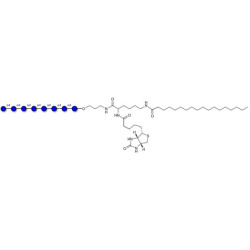 Maltooctaose DP8 linked to biotin and stearic chain (Linker-BT-STEA A)