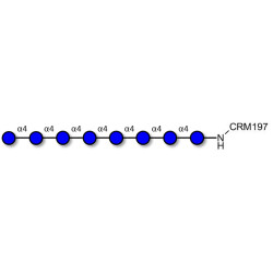 Maltooctaose DP8 grafted on CRM197