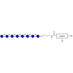 Maltooctaose DP8 with customizable dual functionalization 
