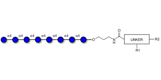 Maltooctaose DP8 with customizable dual functionalization 