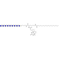 Maltononaose DP9 linked to biotin and stearic chain (Linker-BT-STEA A)