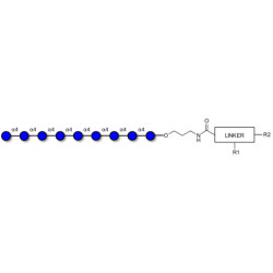 Maltononaose DP9 with customizable dual functionalization 